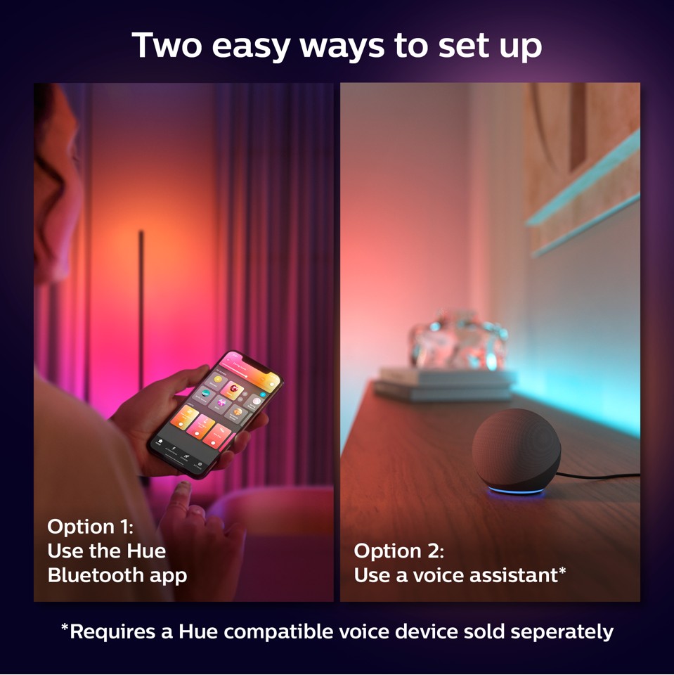 Philips Hue - Gradient Lightstrip 1m Extension