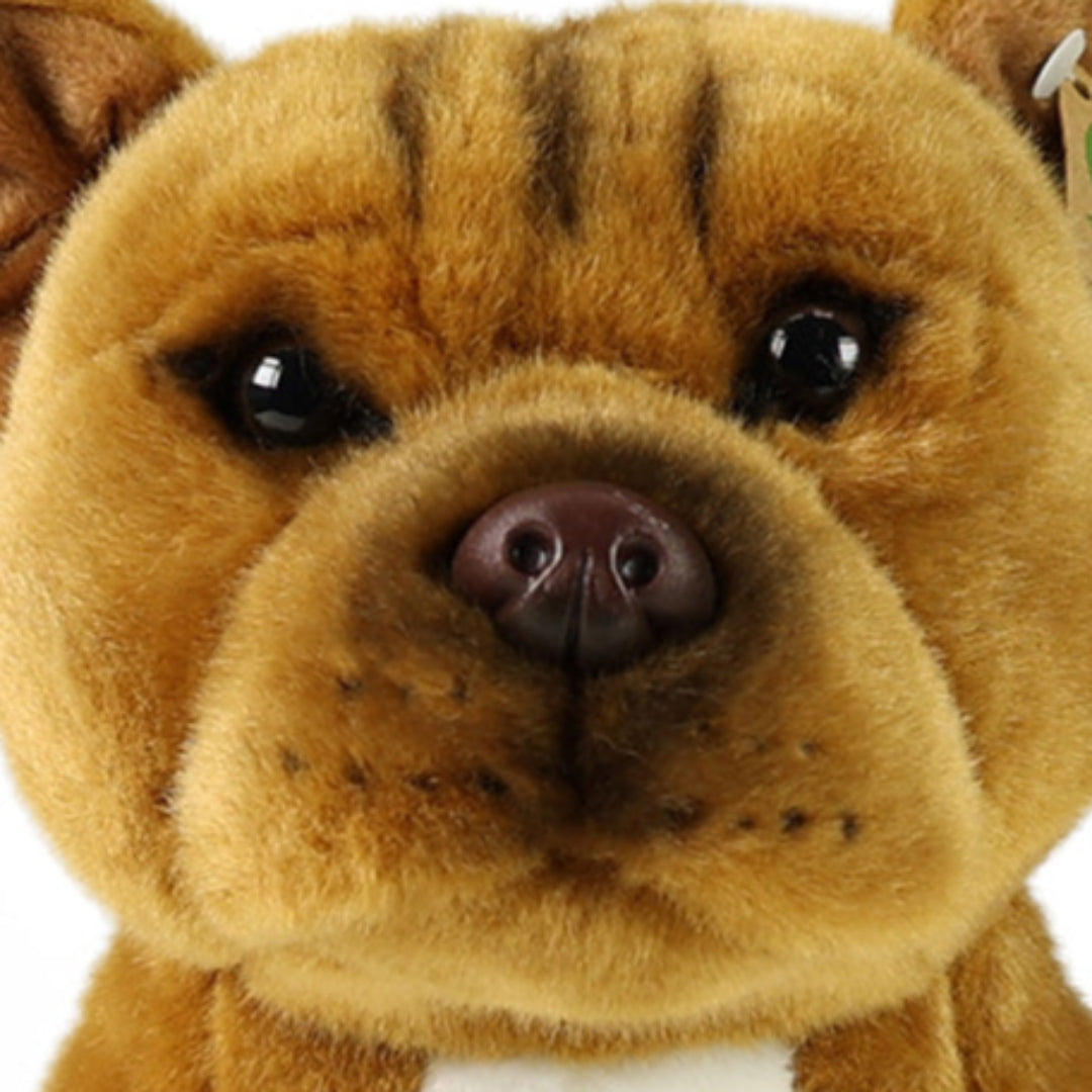 rappa knuffelhond stafford bull terrier - 30 cm