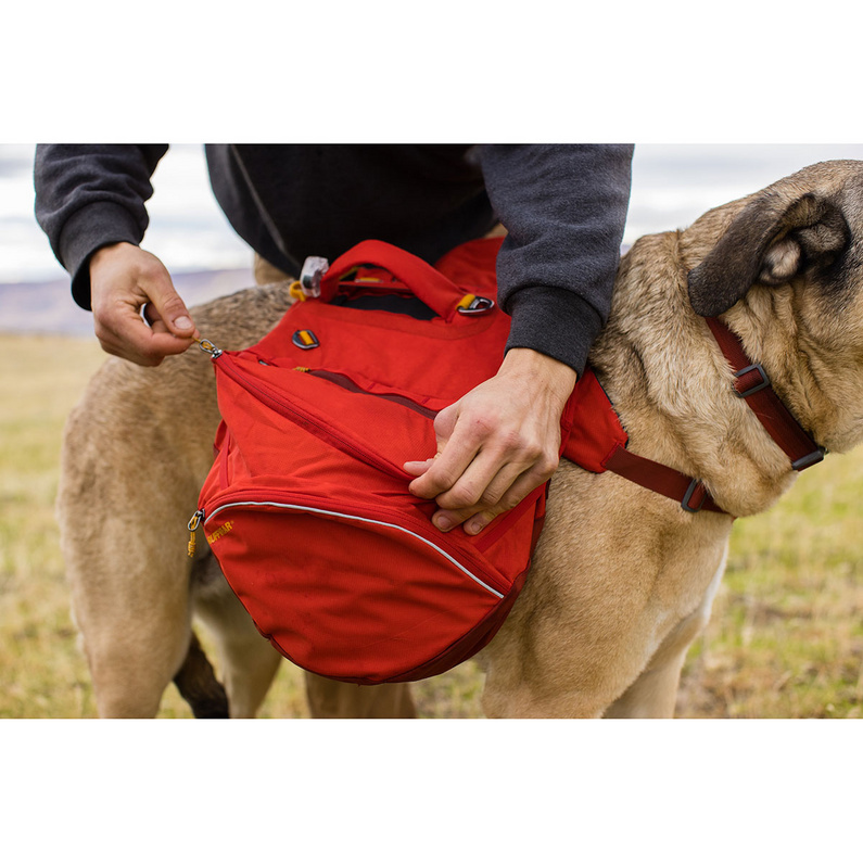Ruffwear Palisades Hunderucksack