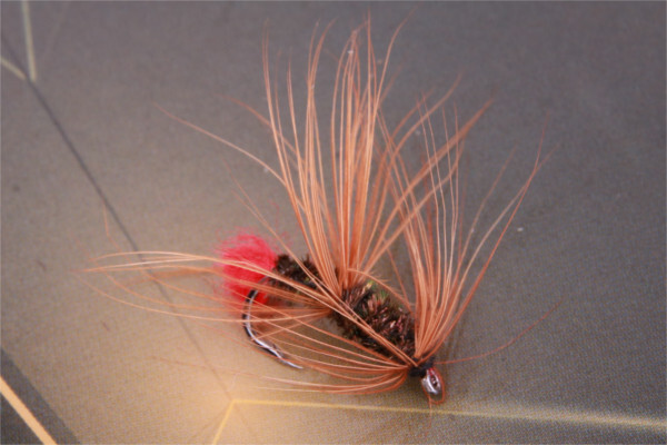 Ultimate Fly Set, 12 mouches !