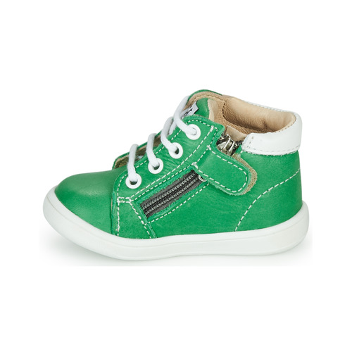 GBB - FOLLIO - Vert