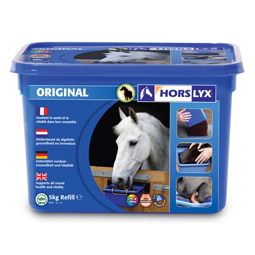 Horslyx Liksteen