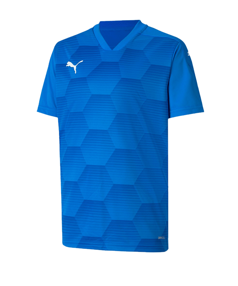 PUMA teamFINAL 21 Graphic Trikot kurzarm Kids F02