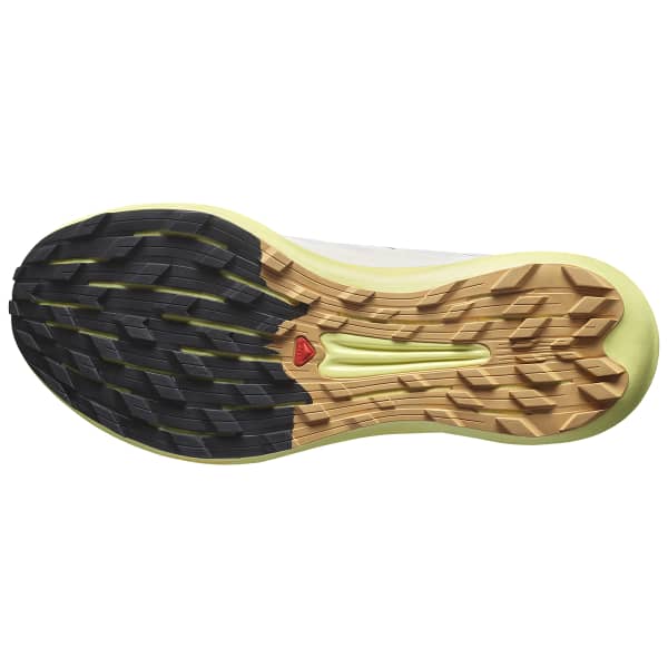 Chaussure trail SALOMON PULSAR TRAIL PRO 2