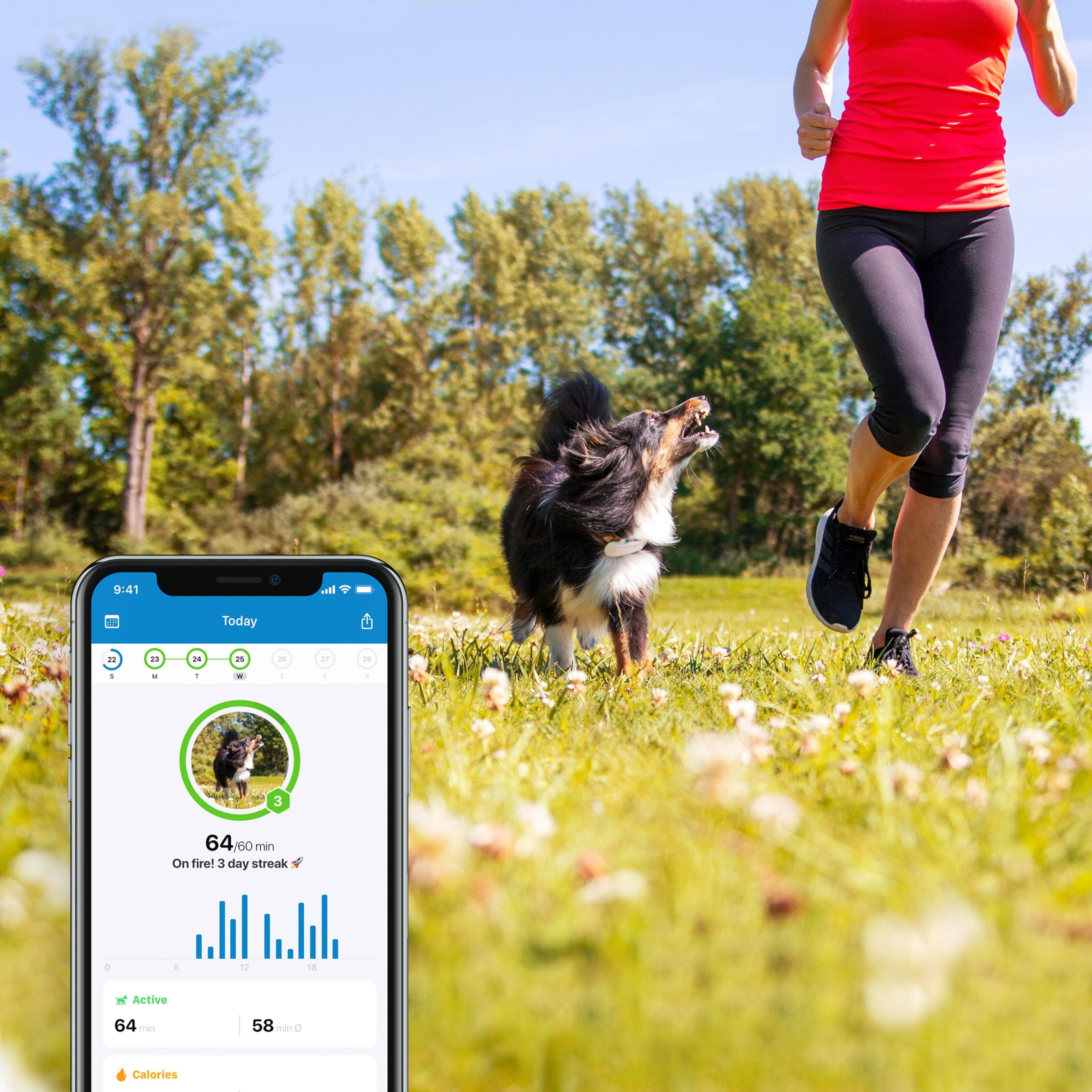 Tractive GPS DOG 4 Hundesporer og aktivitetsovervåker