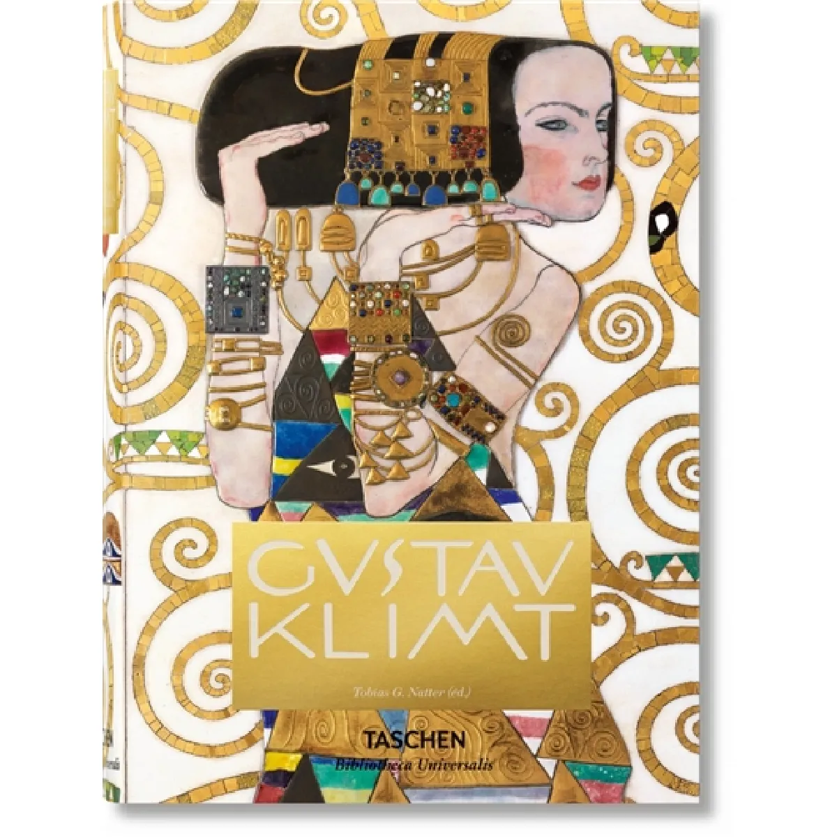Gustav Klimt : dessins & peintures · Occasion