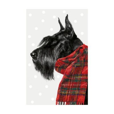 Shnowzer Tartan Scarf