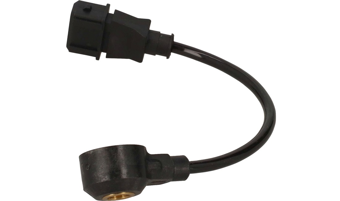 Bankesensor