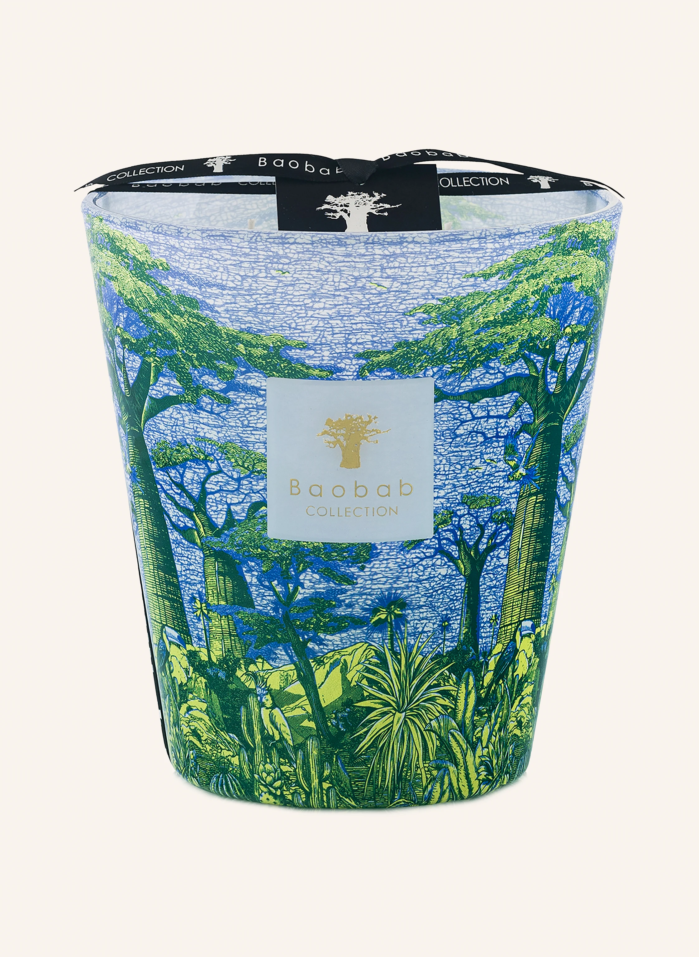 Baobab COLLECTION Duftkerze YARANI