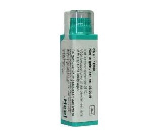 Homeoden Heel Hepar Sulphur MK 4 Gram
