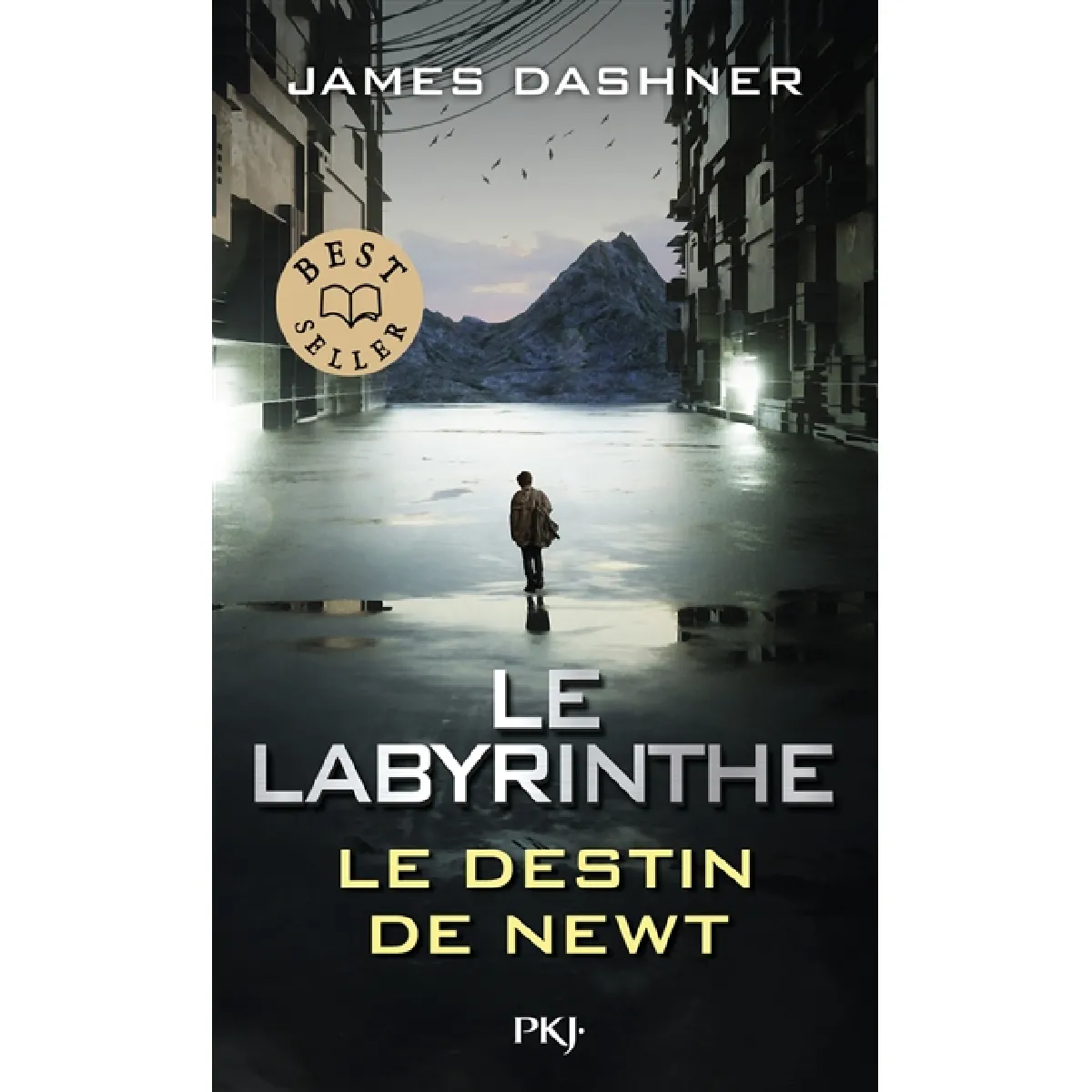 L'épreuve. Le labyrinthe : le destin de Newt