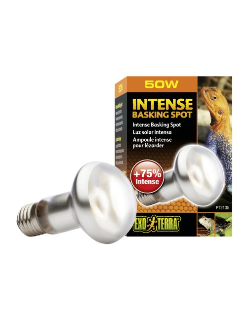 Exo Terra Intense Basking Spot - Verwarming