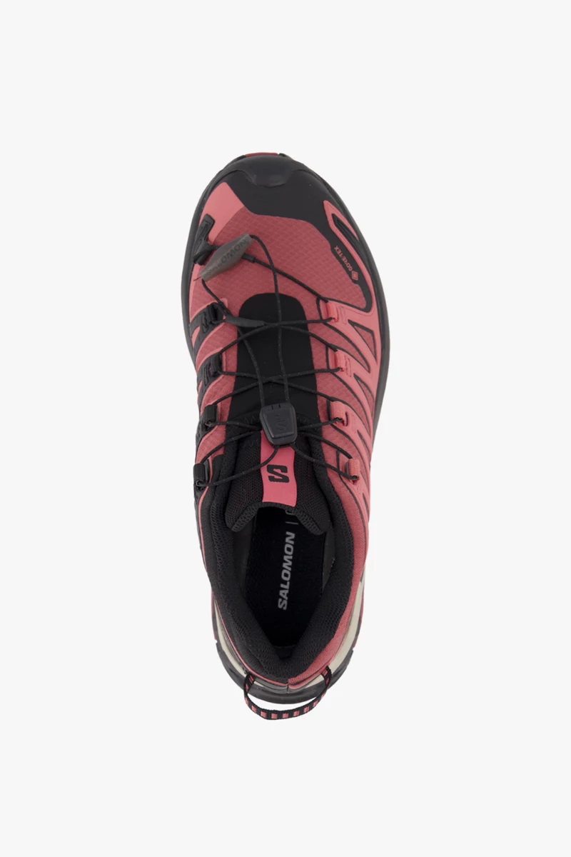 Salomon XA Pro 3D V9 Gore-Tex® Damen Trekkingschuh