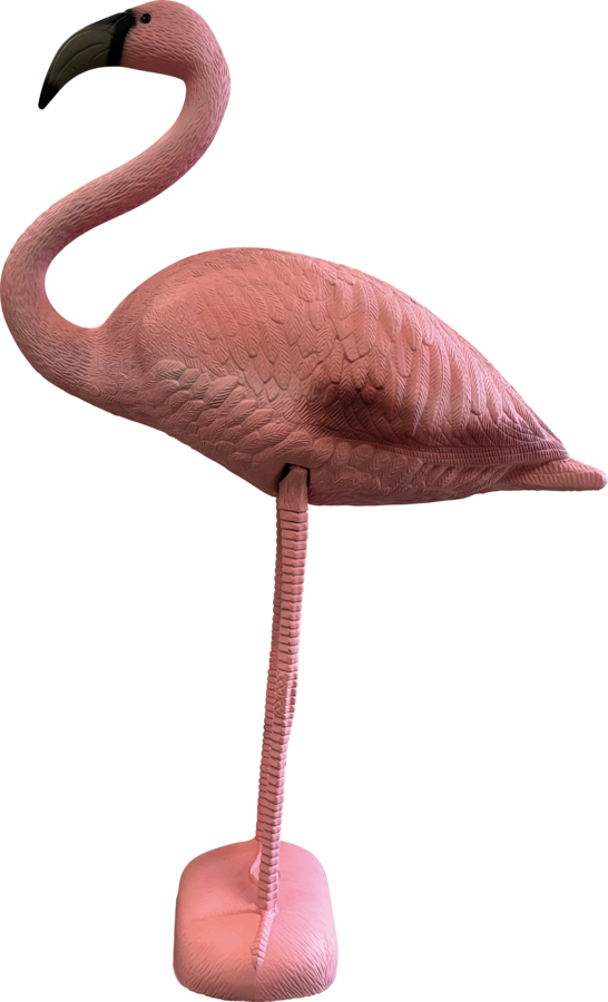 Superfish Bird Flamingo S