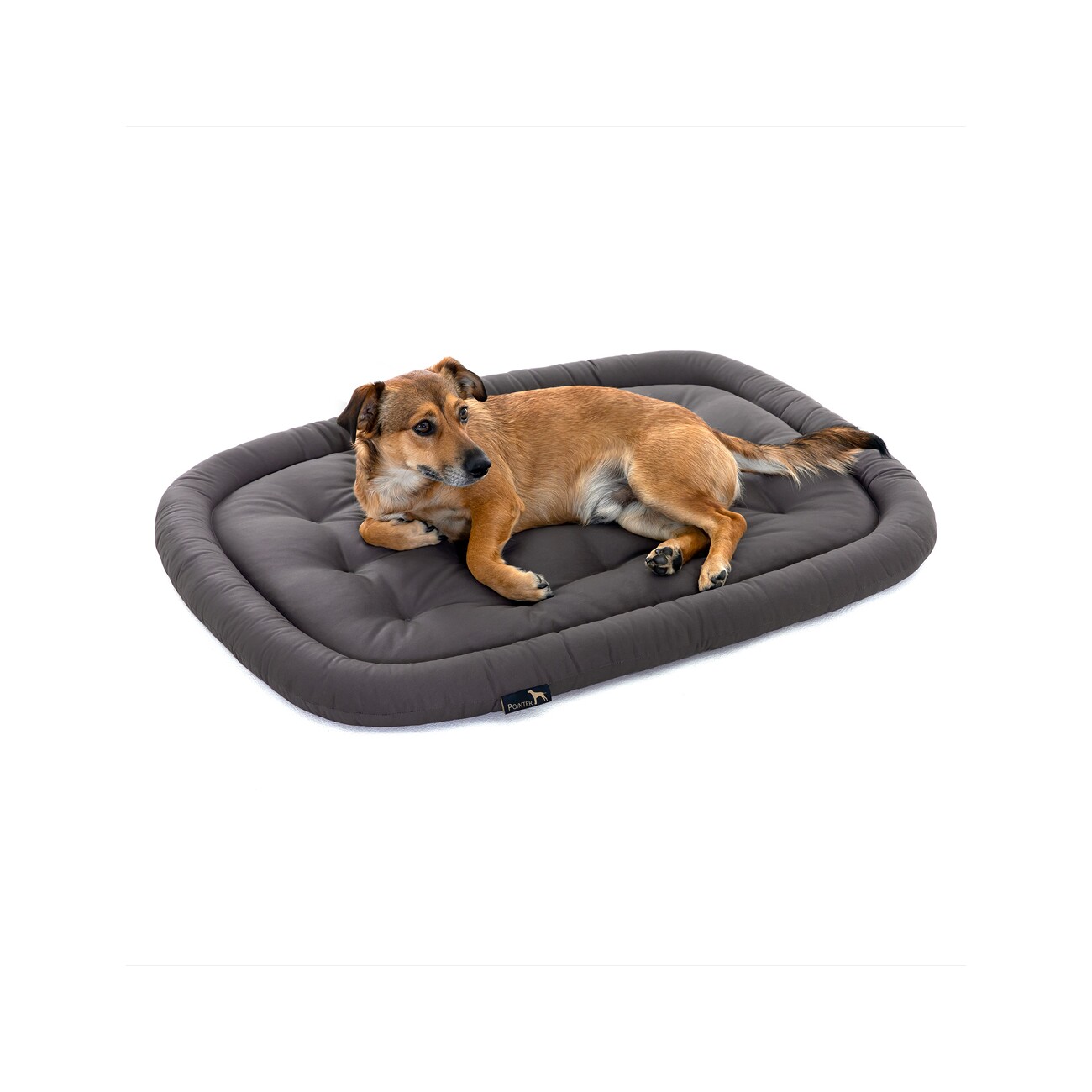 Doctor Bark Pointer Hundekissen grau M