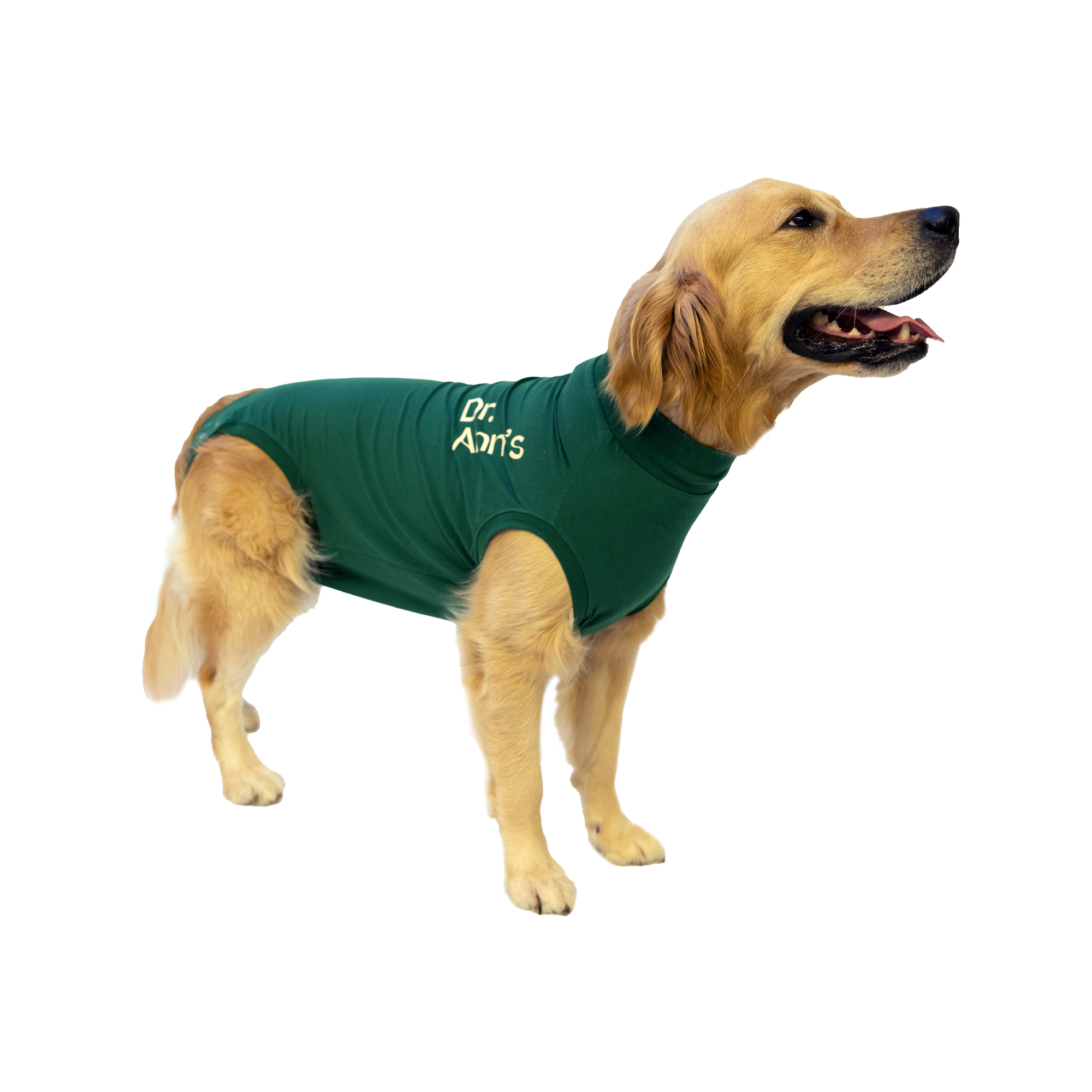 Dr. Ann's Protective Shirt Hond