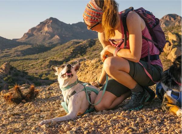 RUFFWEAR® Hundehalsband Hi & Light™ Collar