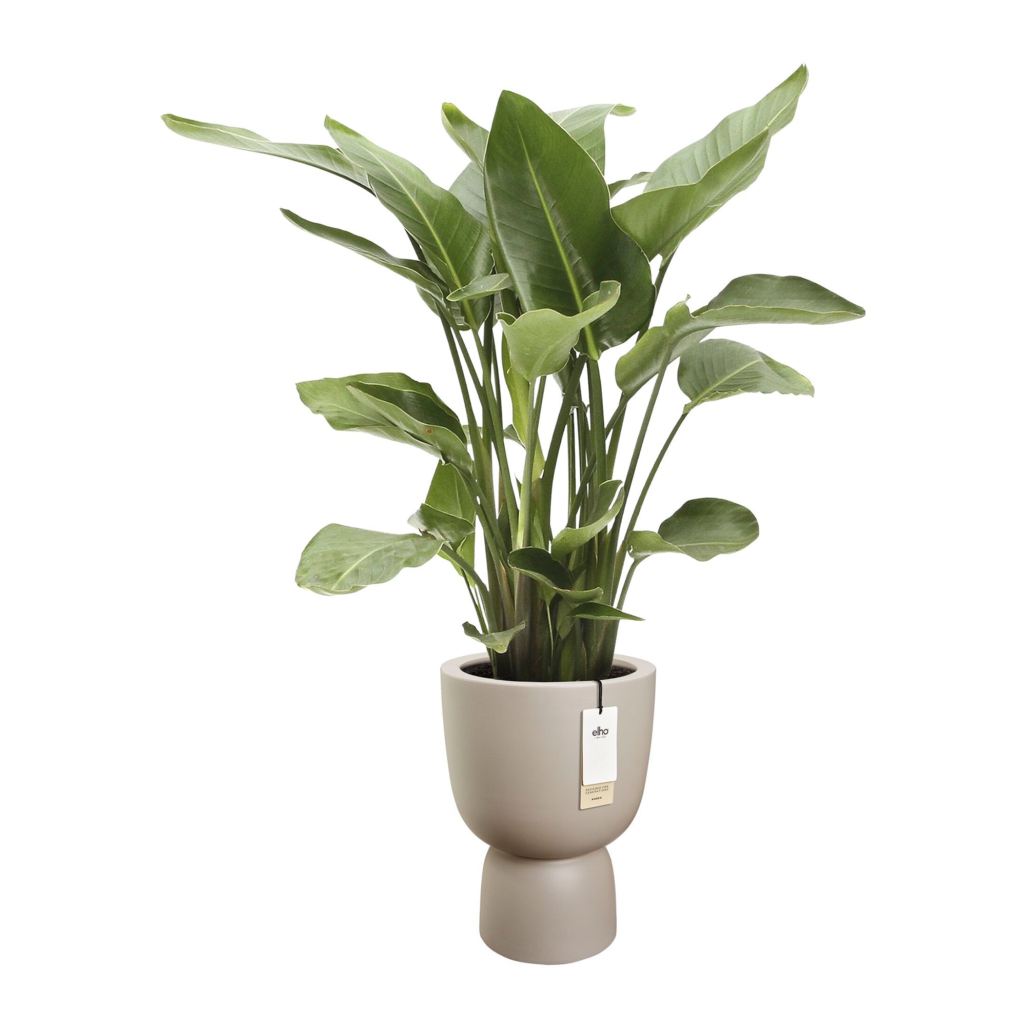 Elho Amber Coupe Round 41 - Balanced beige - L 41 x B  x H 58 cm - Binnen en Buiten - 100% gerecycled kunststof