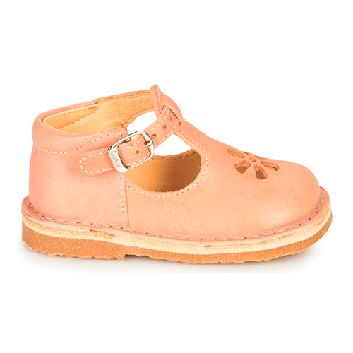 Aster - BIMBO-2 - Rose