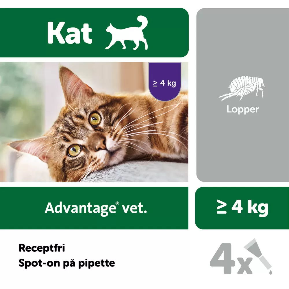 Advantage pour-on Vet kat, 4-8 kg