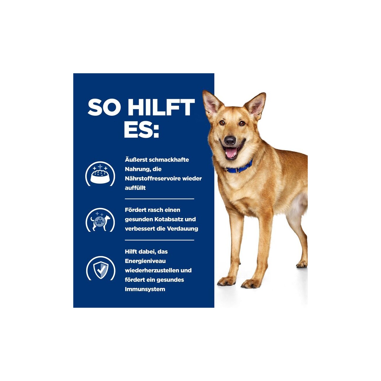 Hill's Prescription Diet i/d Nassfutter für Hunde, Adult, mit Truthahn zur Unterstützung der Verdauung 12x360 g