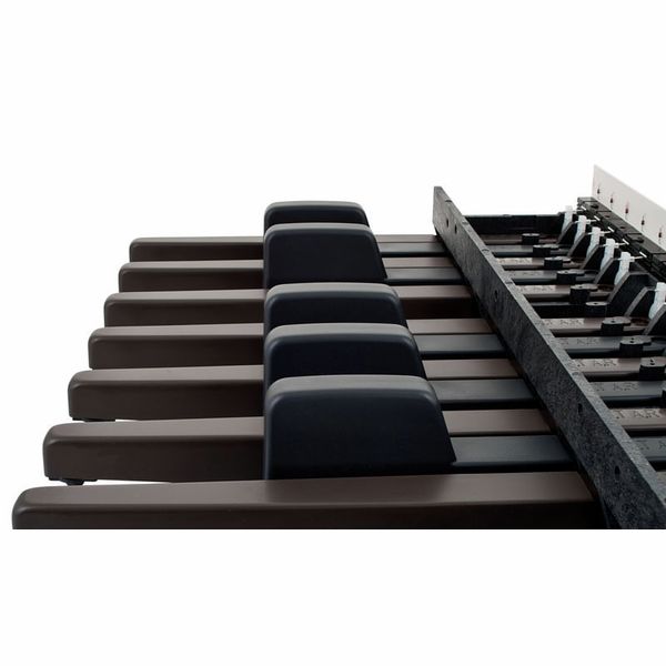 Doepfer MBP25 Electronic with 2 Pedal