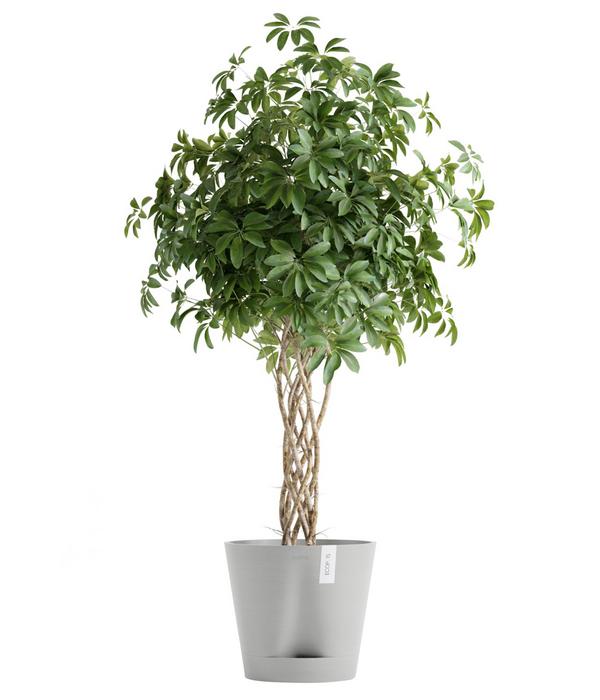 Ecopots Kunststoff-Topf Venice 2, rund