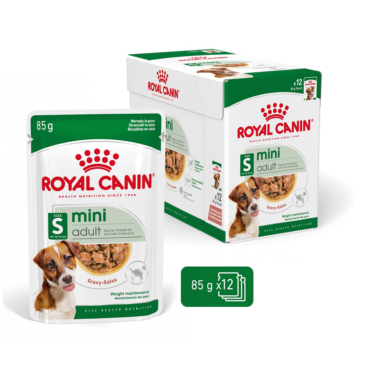 ROYAL CANIN Mini Adult in Soße 12x85 g