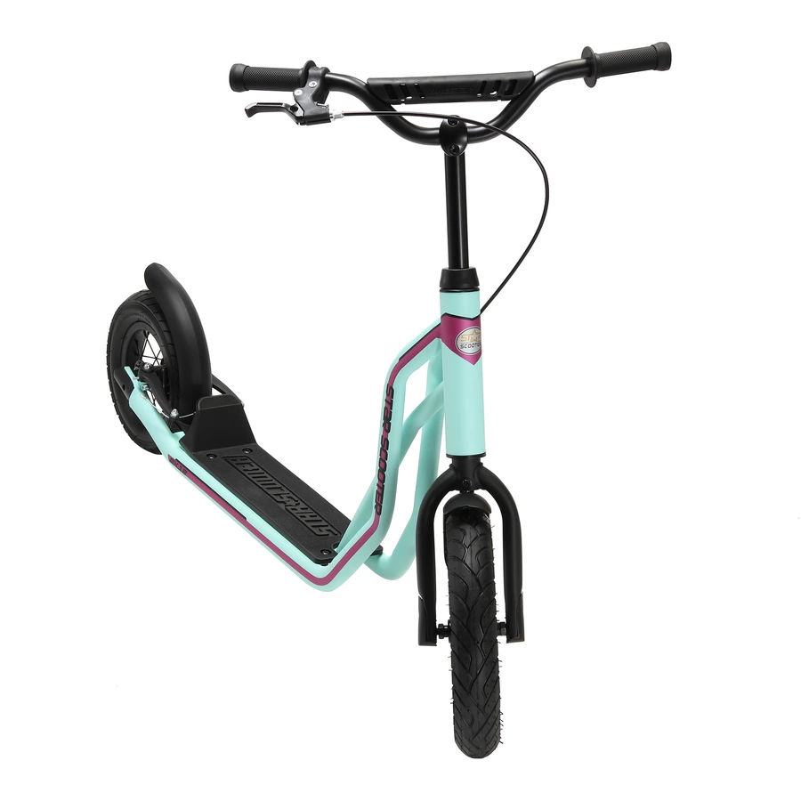 Star Scooter Roller 1012 Zoll Mixed mint
