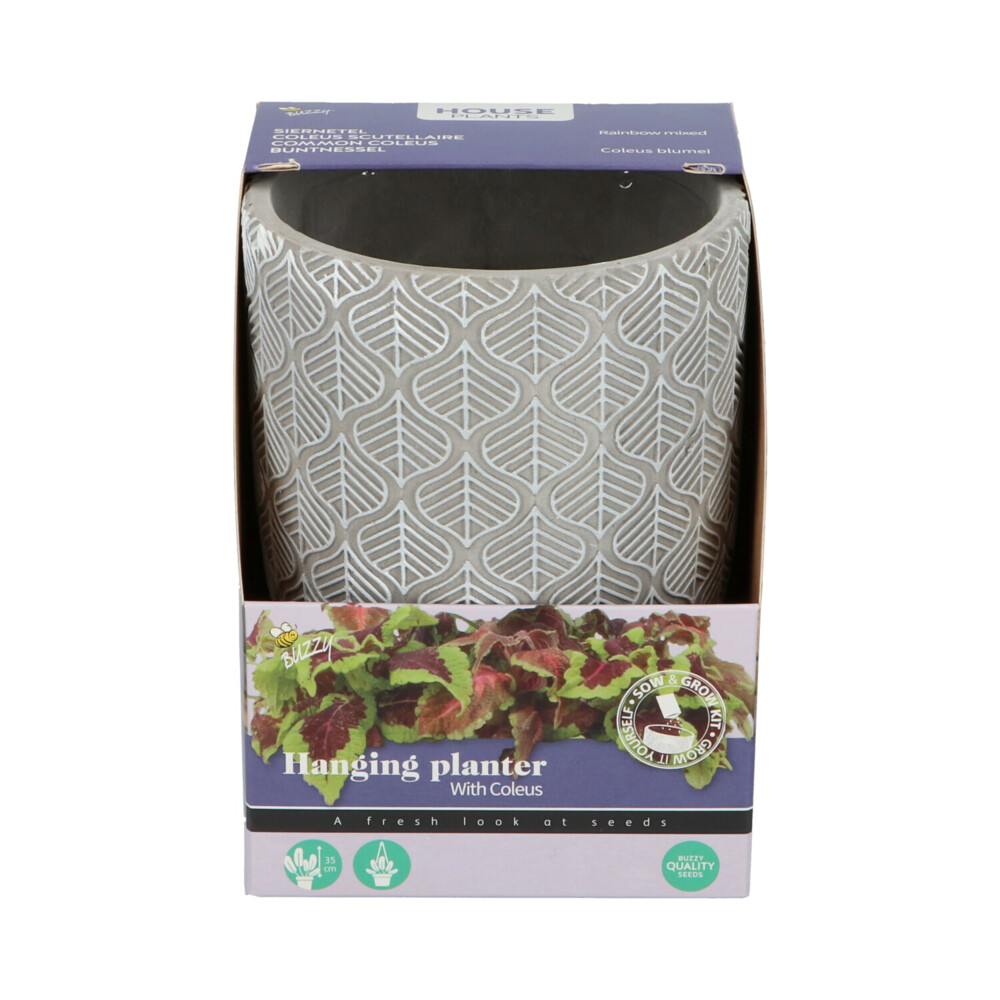 Buzzy House Plants Hangende Plantpot met Coleus zaden
