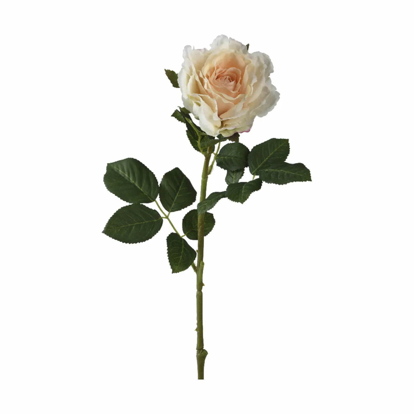 CASA Living Kunstig Blomst - Rose
