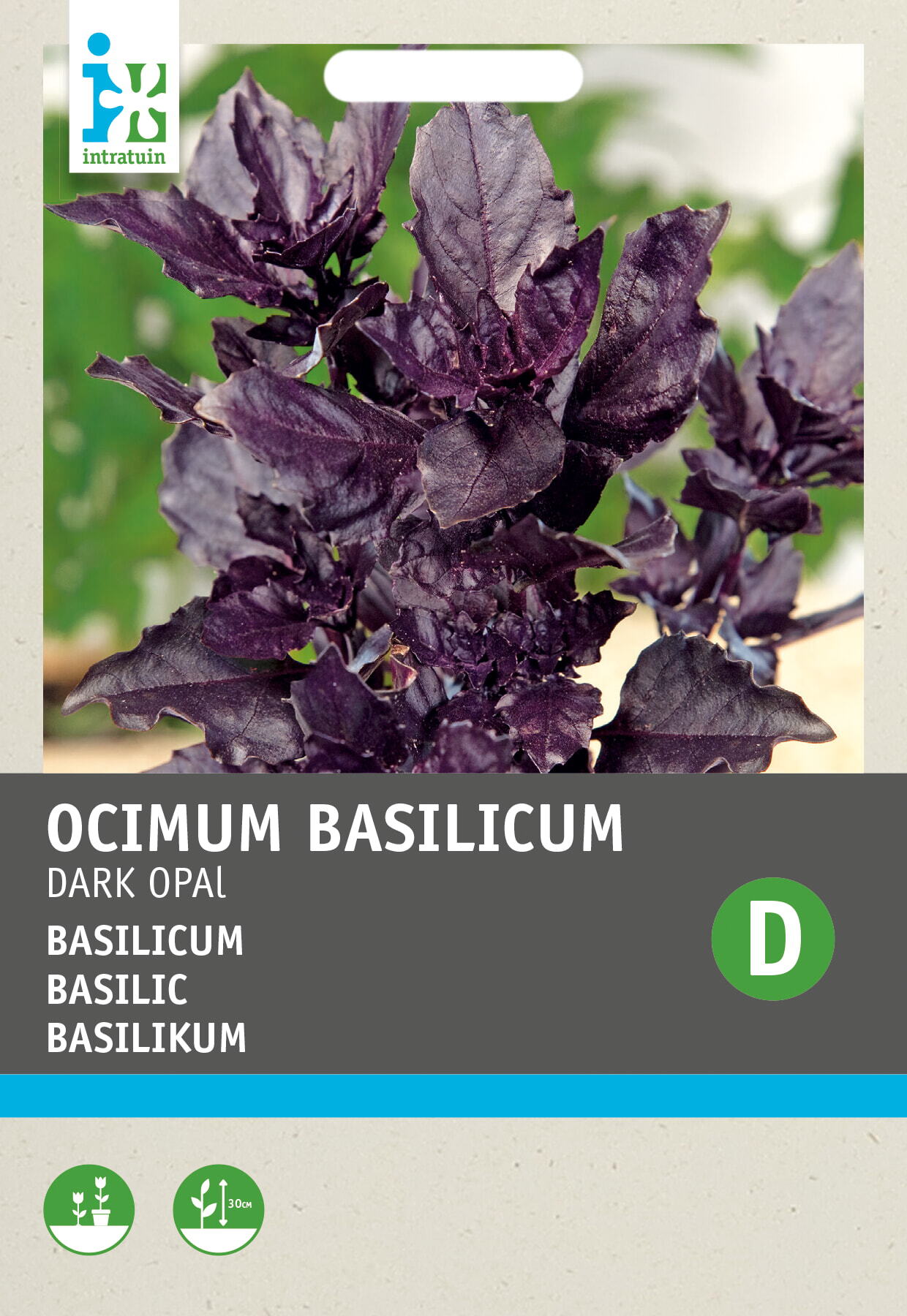 Intratuin kruidenzaad Basilicum (Ocimum basilicum purpurascens 'Dark Opal')