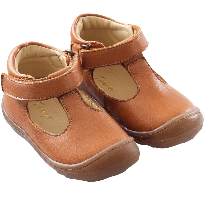 Poppy camel