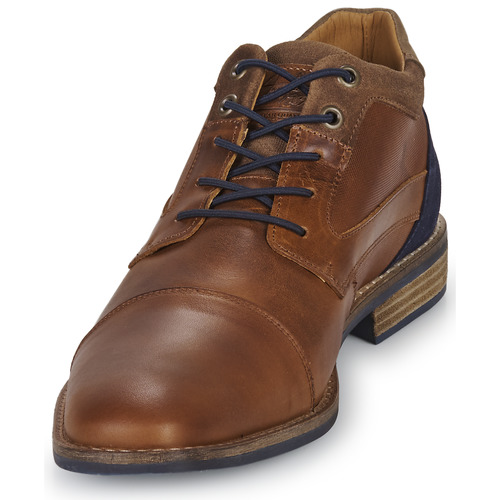 Bullboxer -  - Marron