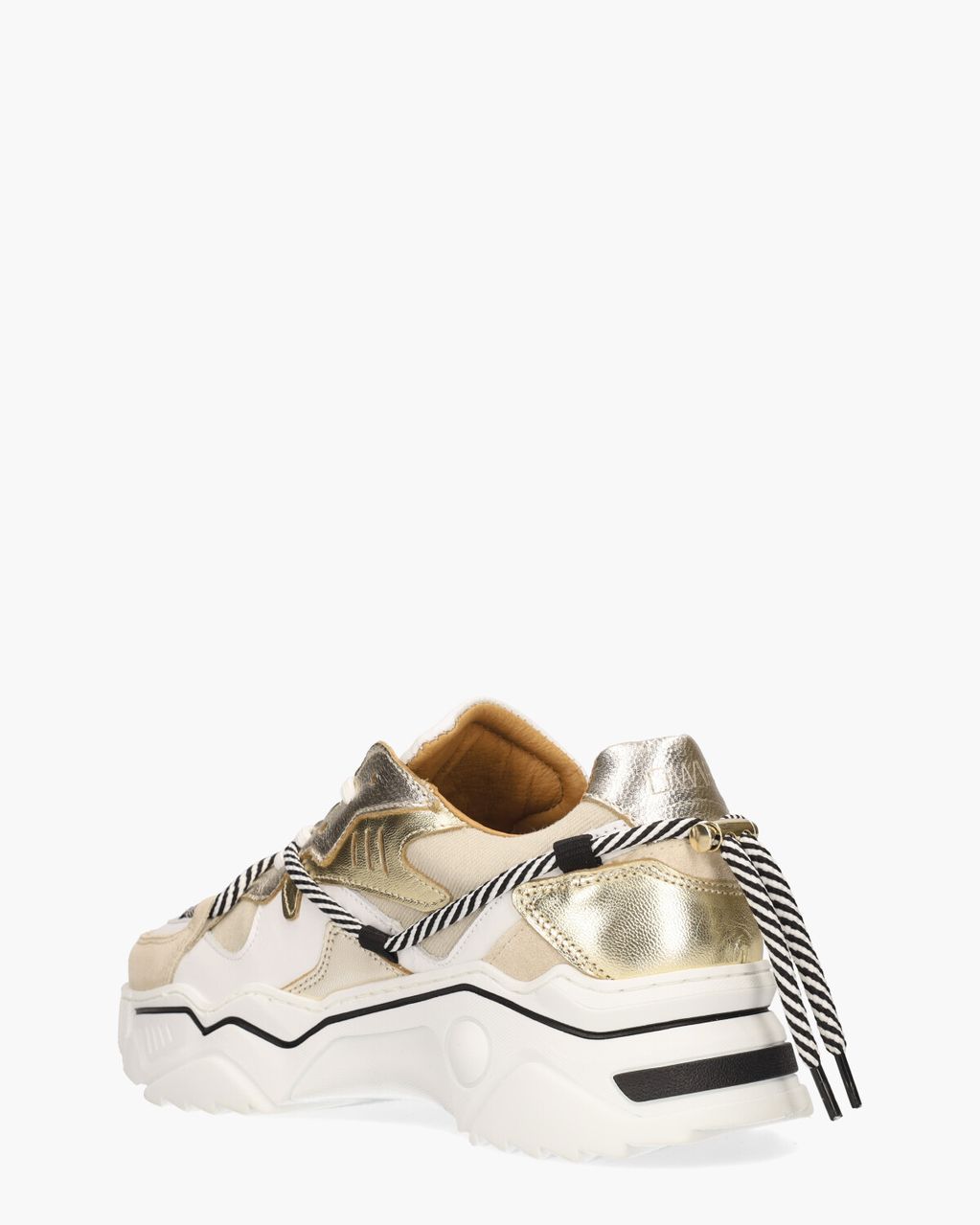 DWRS Label Jupiter Metallic Beige/Multicolor Damessneakers