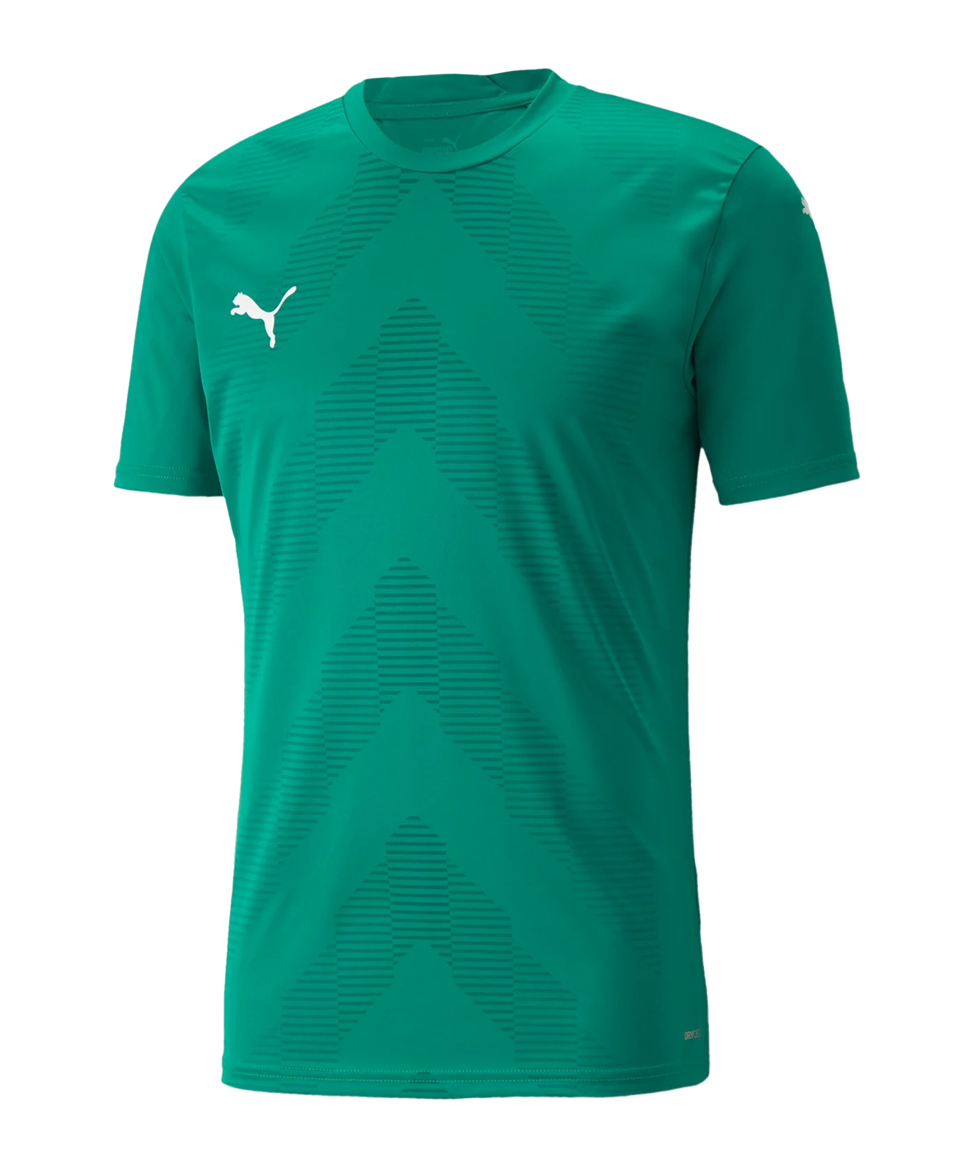 PUMA teamGLORY Trikot Kids Grün F05