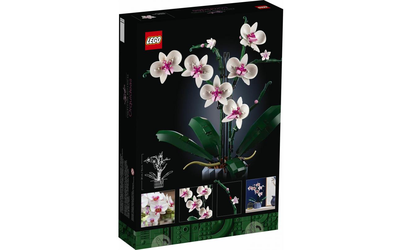 LEGO 10311 Botanicals Orchidee