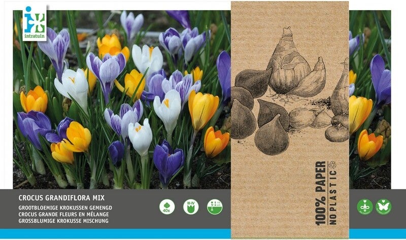 Intratuin bloembollen Grootbloemige Krokus (Crocus) gemengd 30 stuks