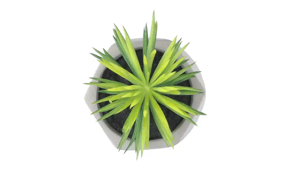 Kunstblume Design I