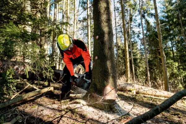 Metabo MS 36-18 LTX BL 40 - Kædesav - ledningfri - 18 V - intet batteri, ingen oplader - 40 cm - Skærekapacitet 360 mm - 3.2 kg - SOLO
