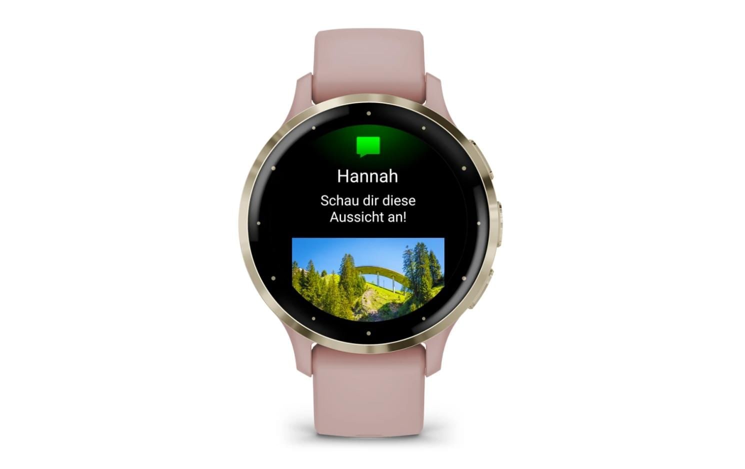 Garmin Sportuhr »Venu 3S Dust Rose / Softgold«