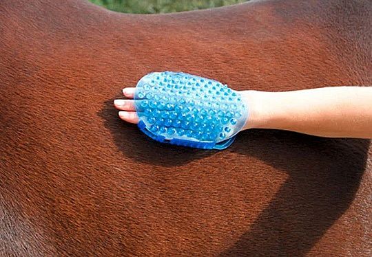 Borstel Magneet Massage Paard | Paars | 12624.1