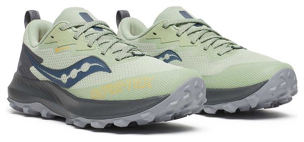 Chaussures Trail Saucony Peregrine 14 GTX Vert/Gris Femme