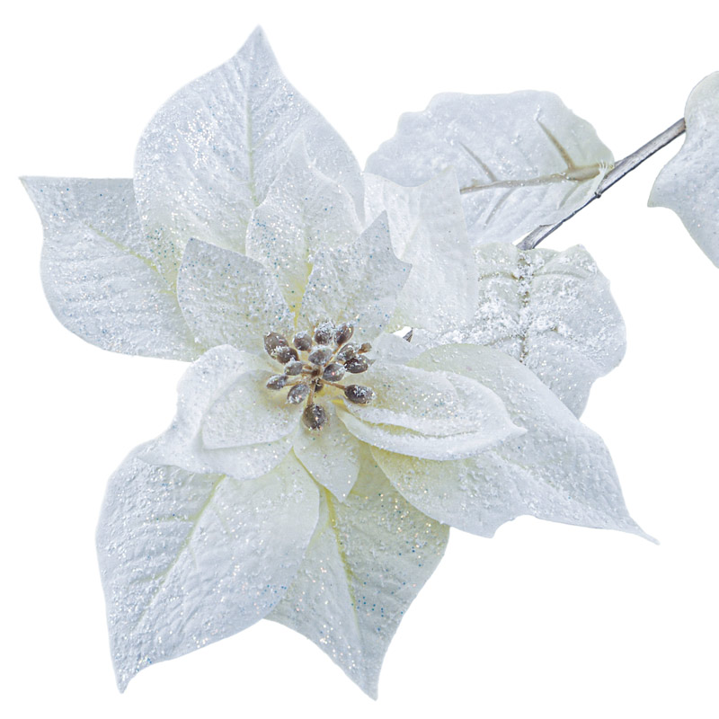 Tige de Poinsettia crème