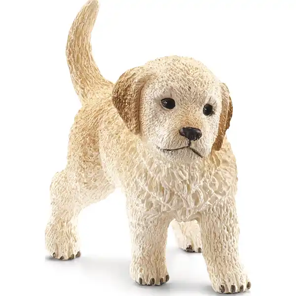 16396 Golden Retriever Welpe