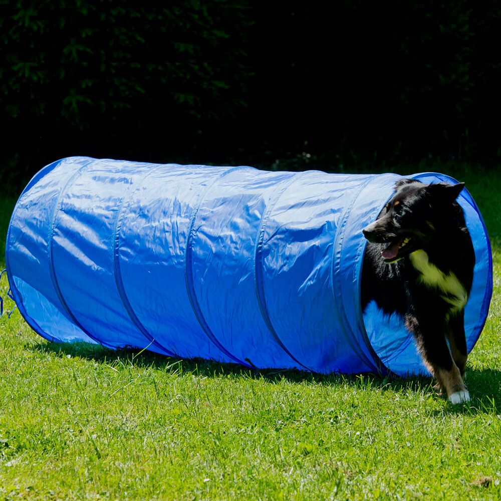 Schecker Top Agility Set für alle Neueinsteiger! - Tunnel Hürde Slalomstangen ect.