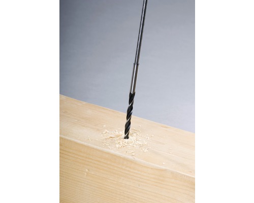 Bekistingsboor Alpen Ø 10x600 mm