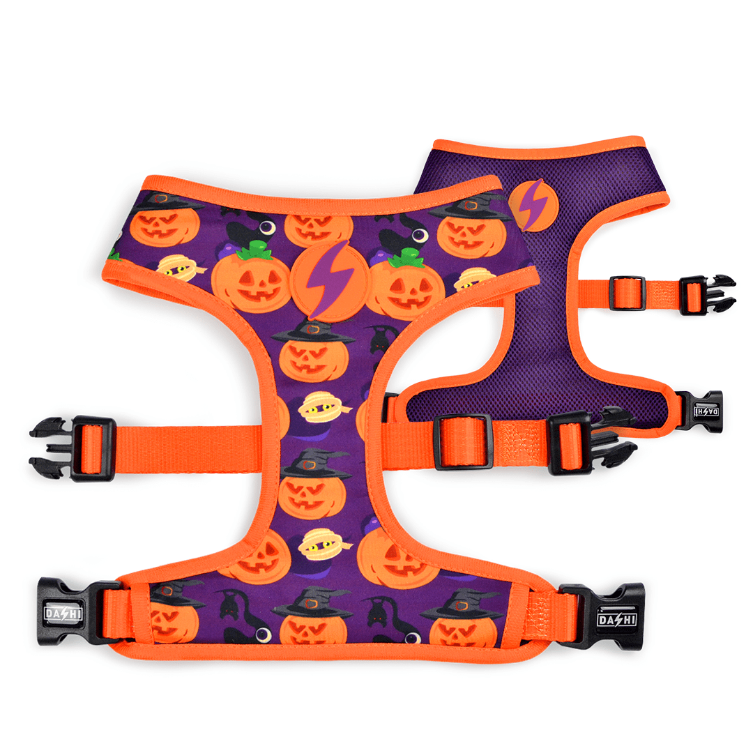 Coleira peitoral reversível Pumpkin Neo Mesh para cães, várias cores