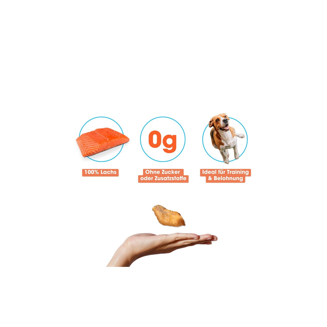 KAUDAS LachsPur Natursnack 2x110 g