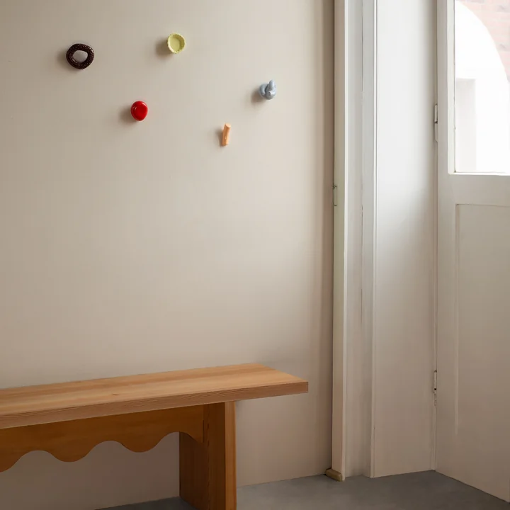 Schneid - Fossil Wandhaken, bunt (5er-Set)